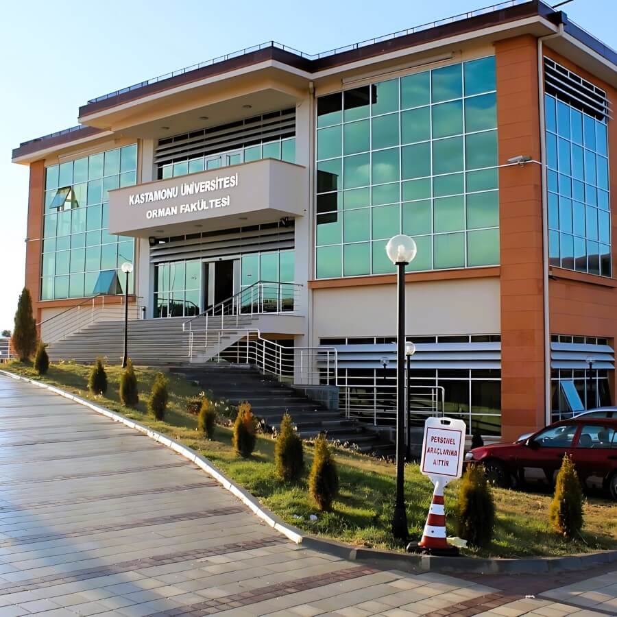 Kastamonu University