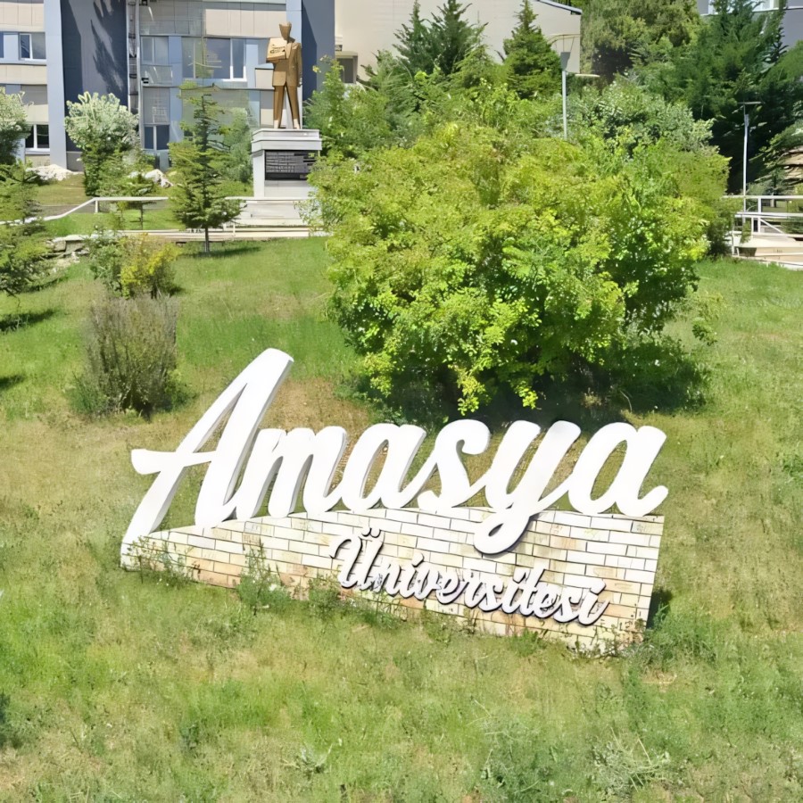 Amasya University