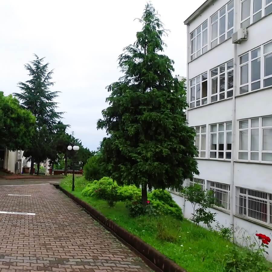 Trabzon University