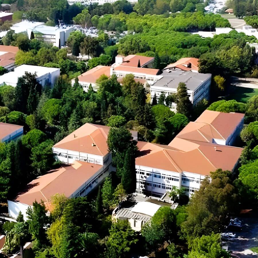 Ege University